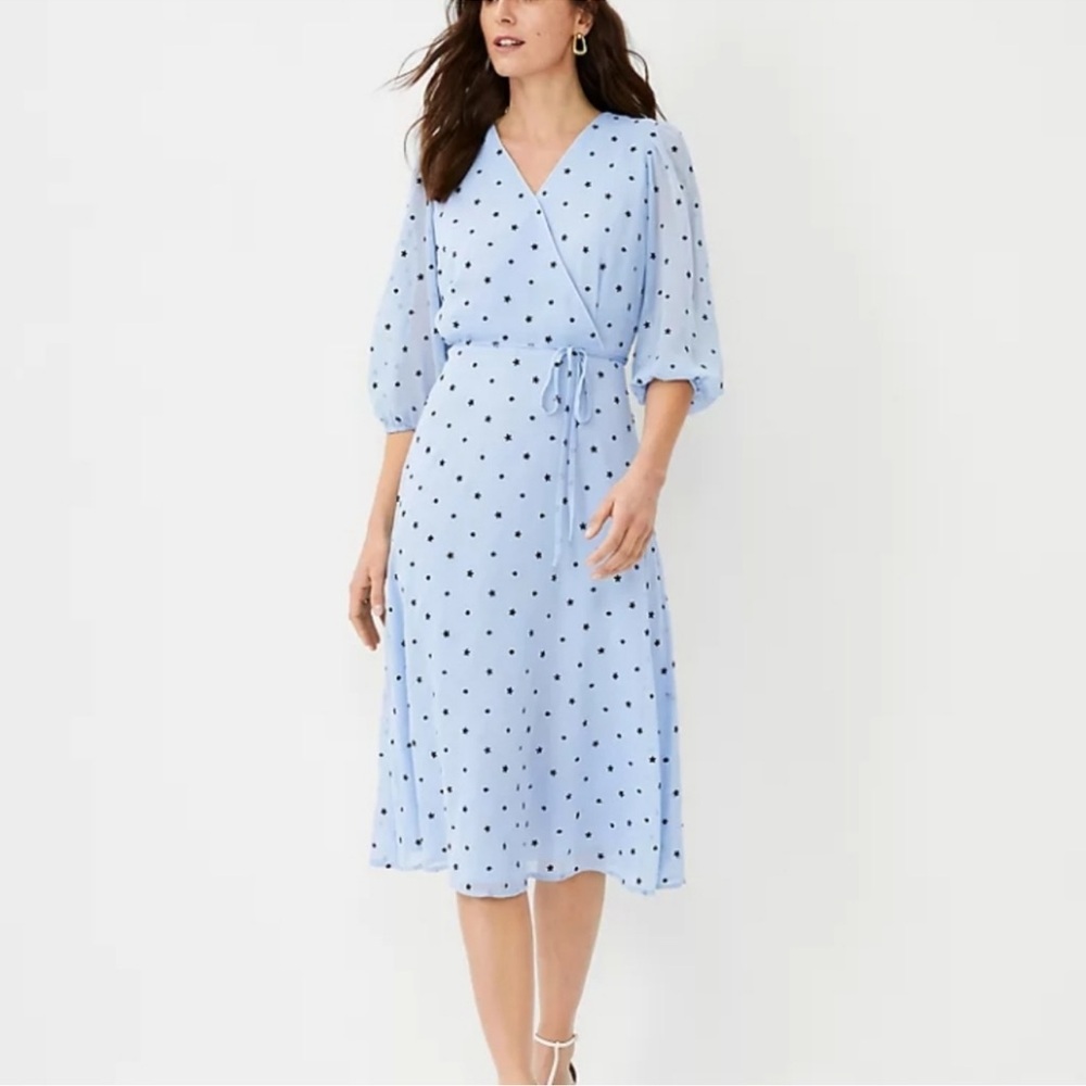 NWT Ann Taylor dress